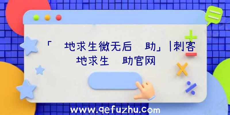 「绝地求生微无后辅助」|刺客绝地求生辅助官网